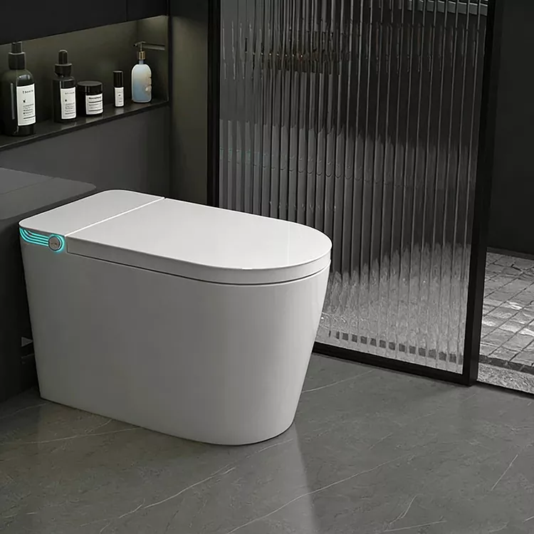 Chimbudzi cha Smart Toilet Yopanda Waya Yopanda Zingwe ya Nozzle Sterilization